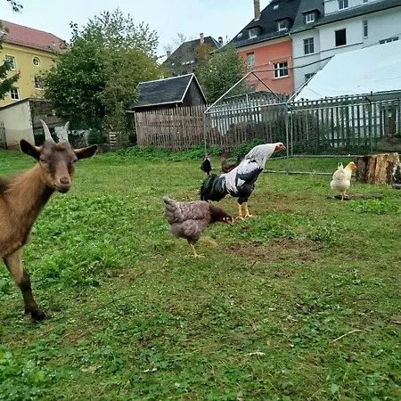 Wohnen In Der Alten Max Selbmann