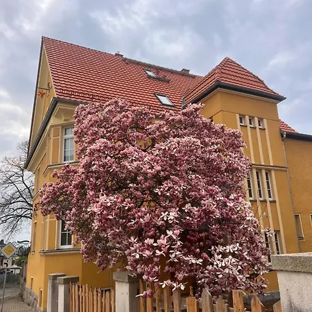 Wohnen In Der Alten Max Selbmann Lägenhet Hohenstein-Ernstthal