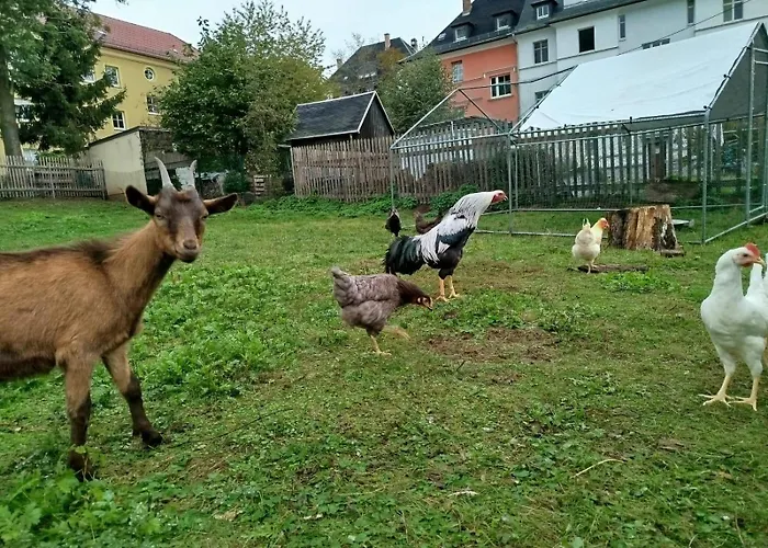 Wohnen In Der Alten Max Selbmann