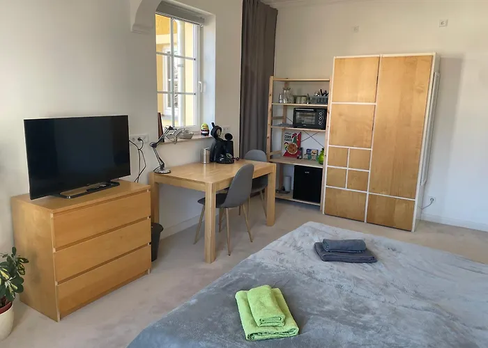 Wohnen In Der Alten Max Selbmann Апартаменты Хоэнштайн-Эрнстталь